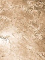 Венецианская штукатурка ITALICA STUCCO MASTICE + NUOVA VENEZIA — изображение 4