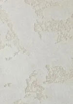 Фасадная штукатурка для наружных работ CREPCO PLASTER 1 мм (карта мира)