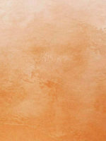 Штукатурка мокрый шелк ITALICA VELOUR