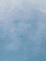 Штукатурка мокрый шелк ITALICA VELOUR