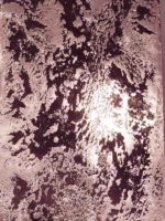 duna-susalnoe-zolotoroza