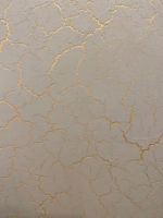 Italica Crack + Metallico Oro + Nuova Venezia в интерьере