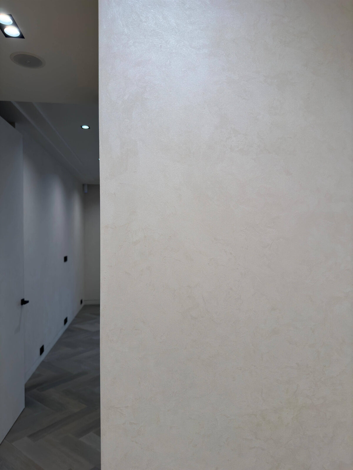 Декоративная штукатурка мокрый шелк Italica Luce в интерьере со скрытыми дверьми